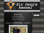 Zir Ozzys kennel - Leonberger